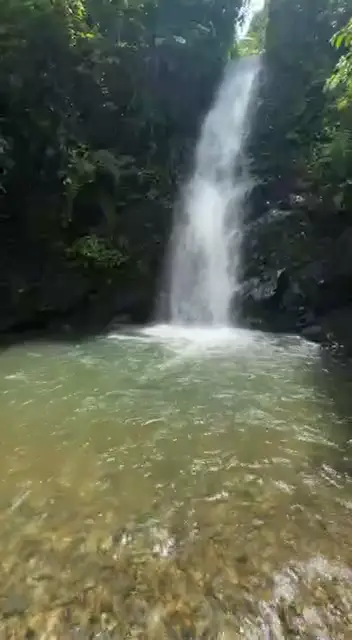 طبيعة